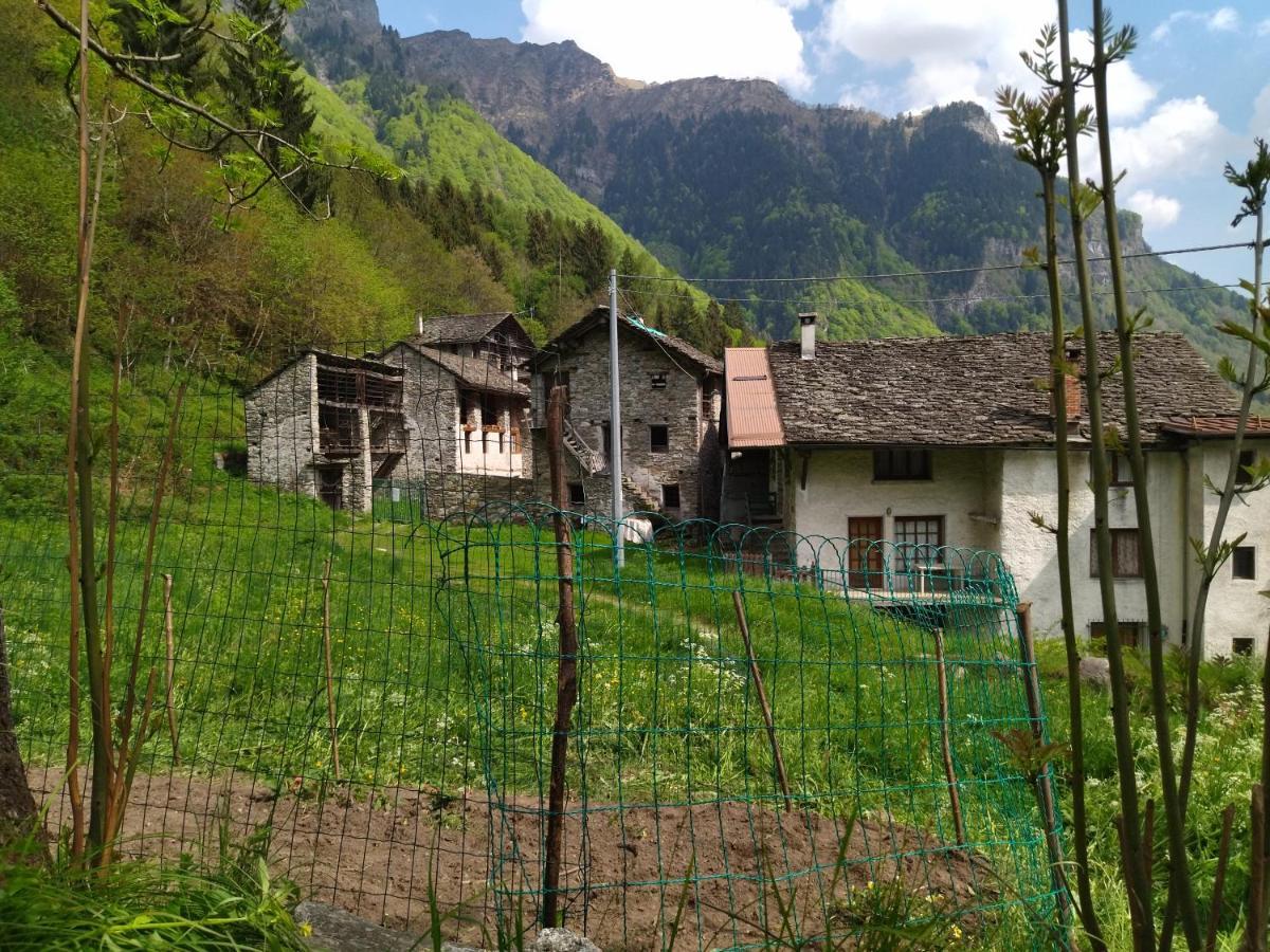 Il Fiume Di Fianco. Appartamento Alta Valsesia Mollia ภายนอก รูปภาพ
